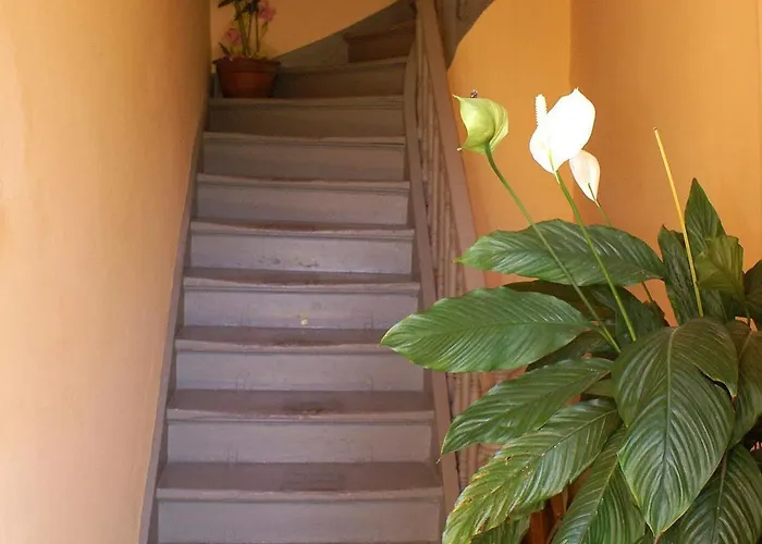 Kydonia ゲストハウス 3*