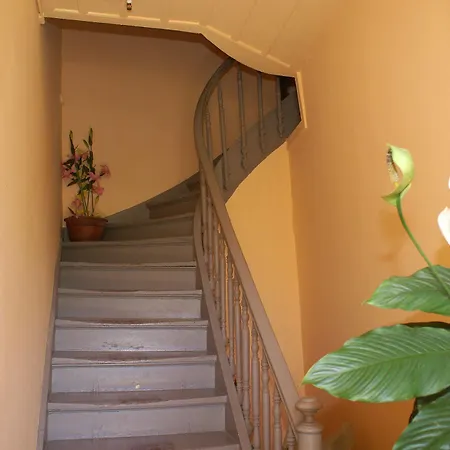 Kydonia בית הארחה