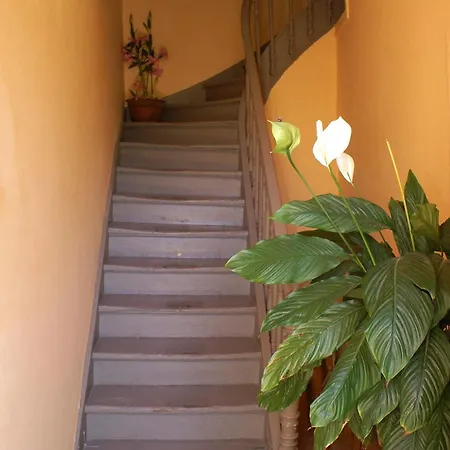 Kydonia בית הארחה 3*